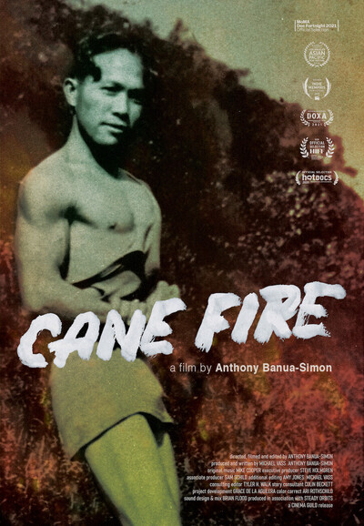 Cane Fire movie poster